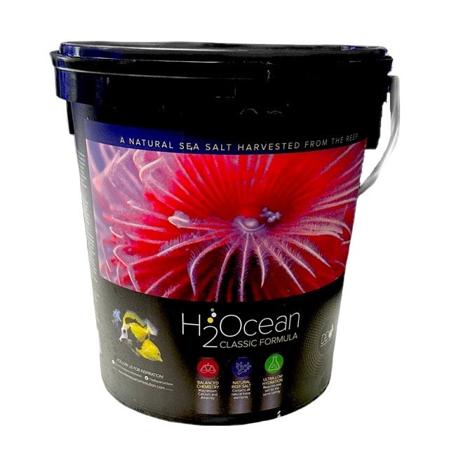 Marine aquarium outlet salt