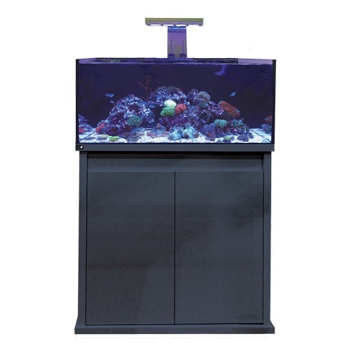 Marine aquarium sales for sale