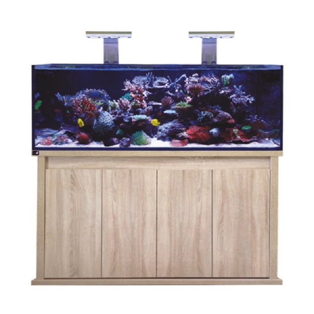 Saltwater tanks for sales sale